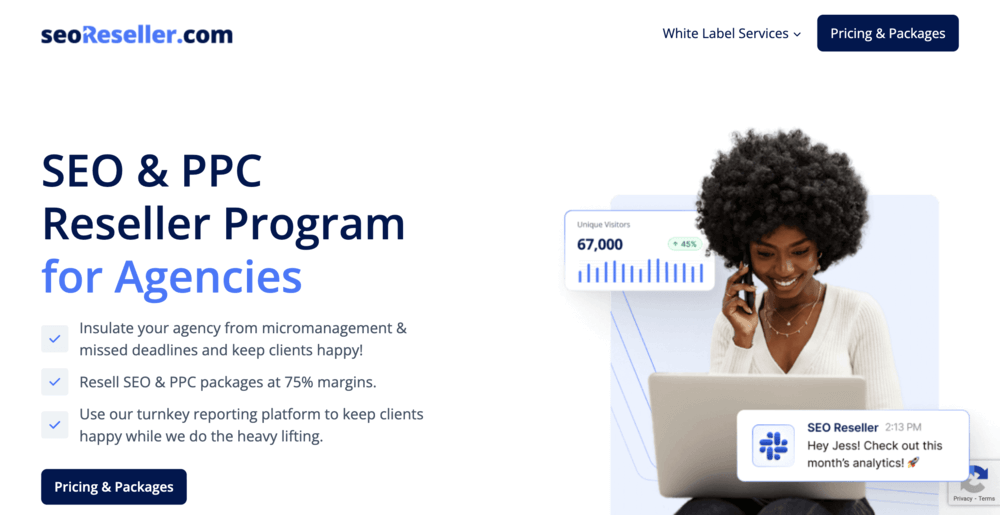 seoreseller landing page